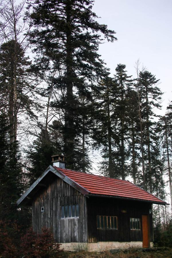 Le Refuge Des Marmottes Βίλα Saint-Laurent-du-Jura Εξωτερικό φωτογραφία
