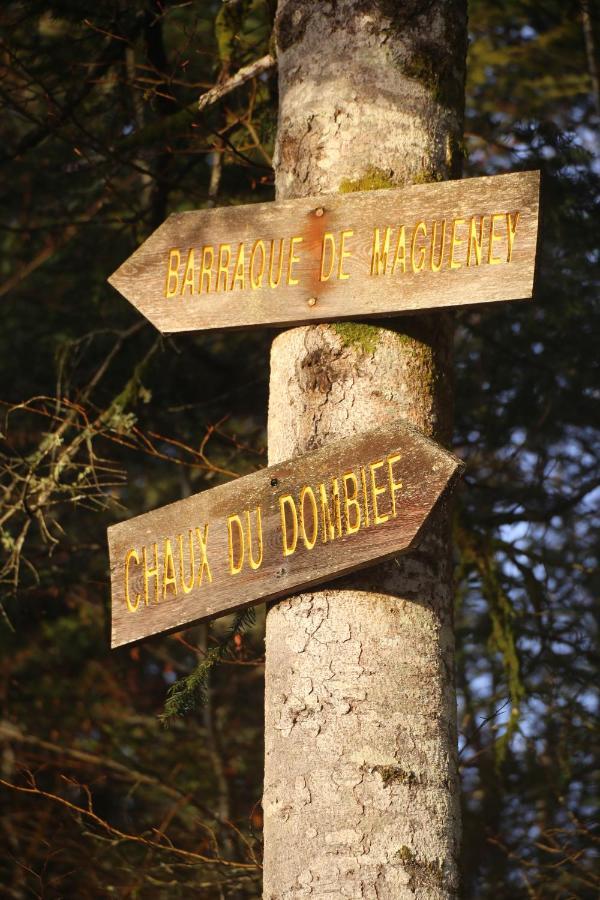 Le Refuge Des Marmottes Βίλα Saint-Laurent-du-Jura Εξωτερικό φωτογραφία