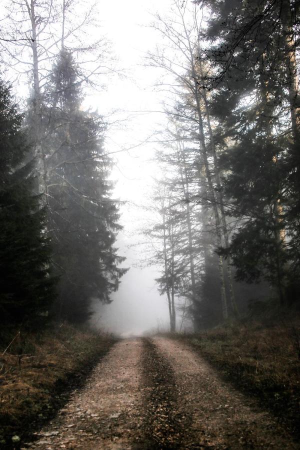 Le Refuge Des Marmottes Βίλα Saint-Laurent-du-Jura Εξωτερικό φωτογραφία